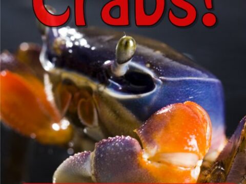 Image for Crabs! Learn About Crabs And Learn To Read - The Learning Club! (45+ Photos of Crabs)