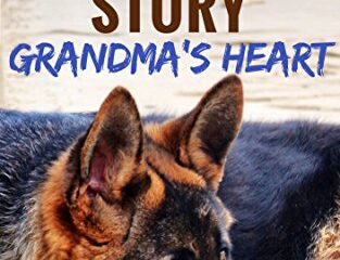Image for Zimmer’s Story - Grandma’s Heart: Book 3 - A Vermont Dog’s Purpose (American Farm Dogs)