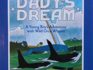 Image for Davy's Dream