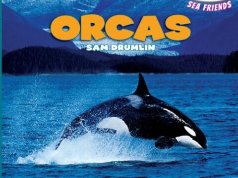 Image for Orcas (Powerkids Readers: Sea Friends)