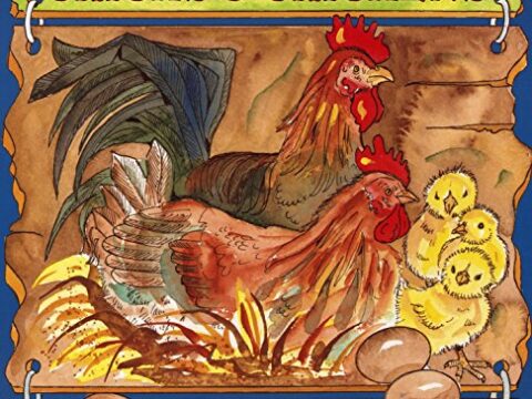 Image for Chicks & Chickens