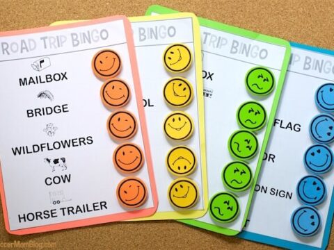 Image for Velcro Road Trip Bingo Travel Game (Free Printables)