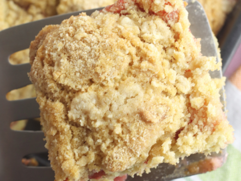 A close-up of a crumbly piece of rhubarb coffee cake on a spatula. The cakes golden-brown texture and hints of pink rhubarb captivate, embodying the essence of delightful coffee cake recipes. A colorful striped cloth adds a touch of charm in the background.