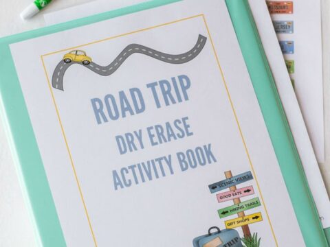 Image for Dry Erase Road Trip Activity Book
