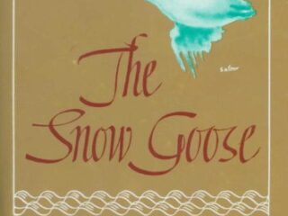 Image for Snow Goose