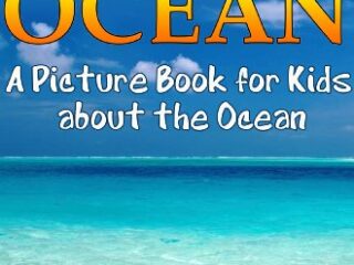 Image for Children's Book About The Ocean: A Kids Picture Book About The Ocean with Photos and Fun Facts