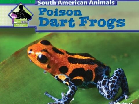 Image for Poison Dart Frogs (Big Buddy Books: South American Animals)