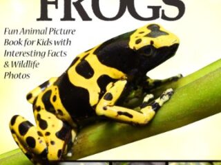 Image for Poison Dart Frogs! Kids Book About Frogs: Fun Animal Picture Book For Kids With Interesting Facts & Wildlife Photos (God's Amazing Creation Series 1)