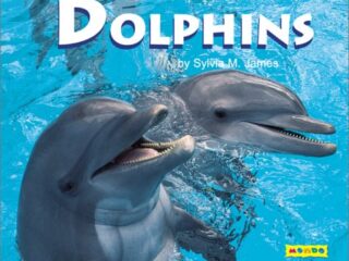 Image for Dolphins (Mondo Animals)