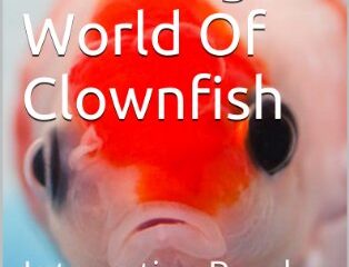 Image for The Amazing World Of Clownfish: Interactive Reader