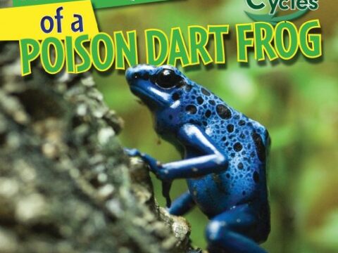 Image for The Life Cycle of a Poison Dart Frog (Nature's Life Cycles)