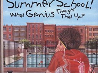 Image for Hank Zipzer 08: Summer School! What Genius Thought That Up?