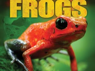Image for Poison Dart Frogs (Pilot Books: Nature's Deadliest)