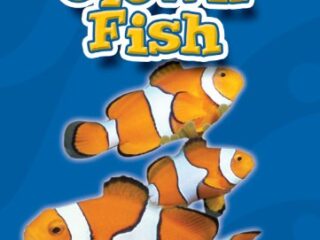 Image for Clown Fish (Blastoff! Readers: Oceans Alive) (Blastoff! Readers: Oceans Alive (Hardcover))