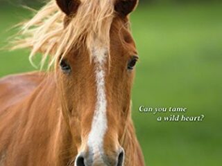 Image for My Friend Flicka