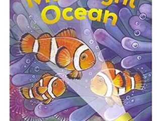Image for Moonlight Ocean (Lightbeam Books)