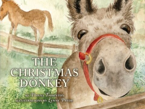 Image for The Christmas Donkey