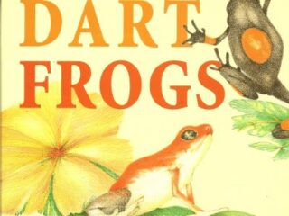 Image for Poison dart frogs