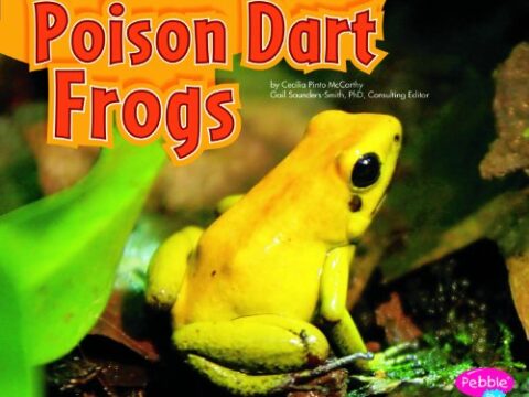 Image for Poison Dart Frogs (Colorful World of Animals)