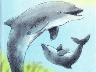 Image for Dolphin