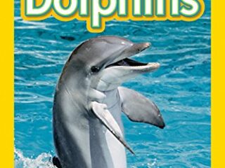 Image for National Geographic Readers: Dolphins