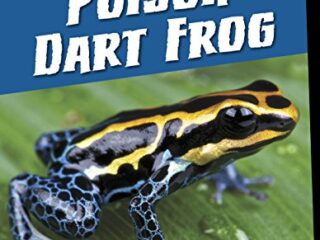 Image for Poison Dart Frog (21st Century Skills Library: Exploring Our Rainforests)
