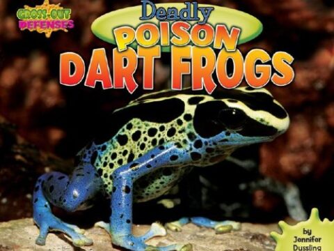 Image for Deadly Poison Dart Frogs (Gross-Out Defenses)