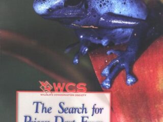Image for The Search for Poison-Dart Frogs (Wildlife Conservation Society Books)