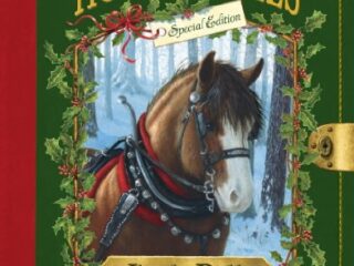 Image for Horse Diaries #11: Jingle Bells (Horse Diaries Special Edition) (Horse Diaries Series)