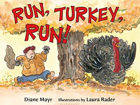 Image for Run, Turkey, Run!
