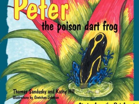 Image for Peter the poison dart frog, Stories of the Rainforest