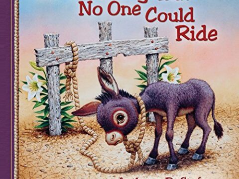 Image for The Donkey That No One Could Ride