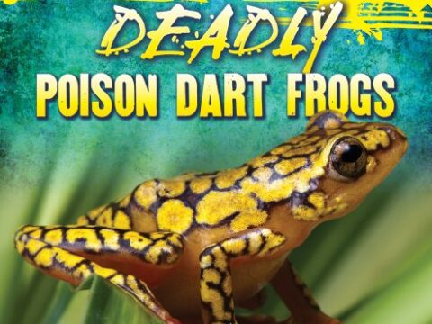 Image for Deadly Poison Dart Frogs (Small But Deadly (Paperback))