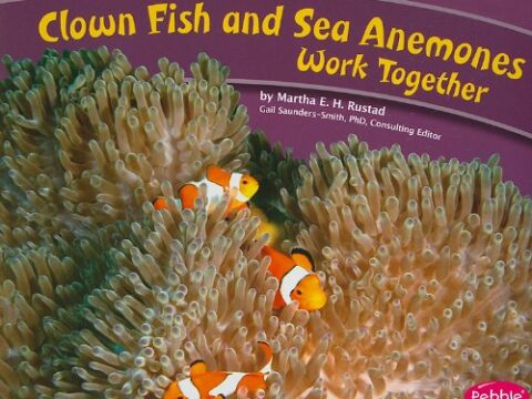 Image for Clown Fish and Sea Anemones Work Together (Animals Working Together)