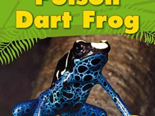 Image for Poison Dart Frog (A Day in the Life: Rain Forest Animals)