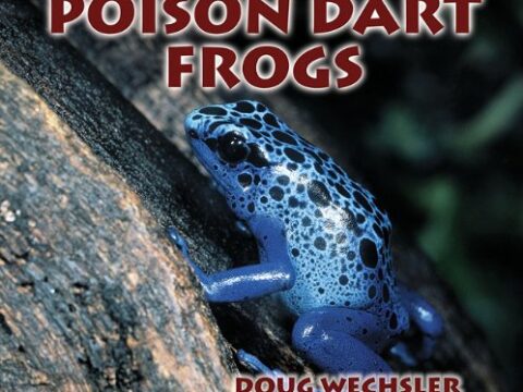 Image for Poison Dart Frogs (Tony Stead Nonfiction Independent Reading Collections)