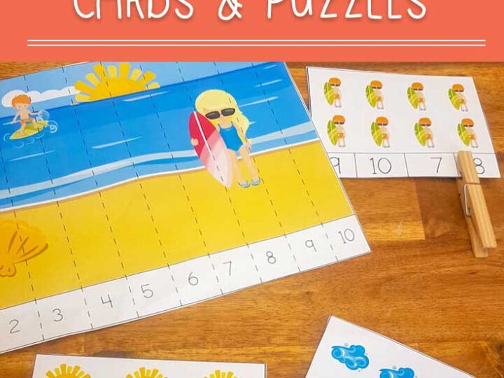 Image for Summer Counting Cards and Puzzles