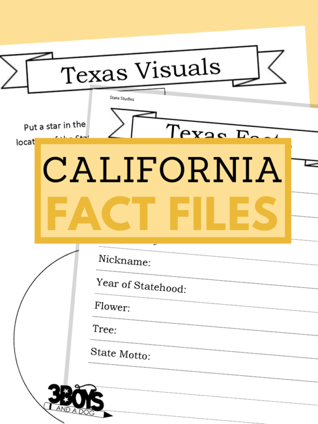California State Fact File Worksheets