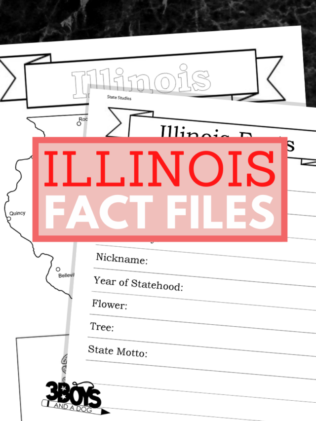 Illinois State Fact File Worksheets