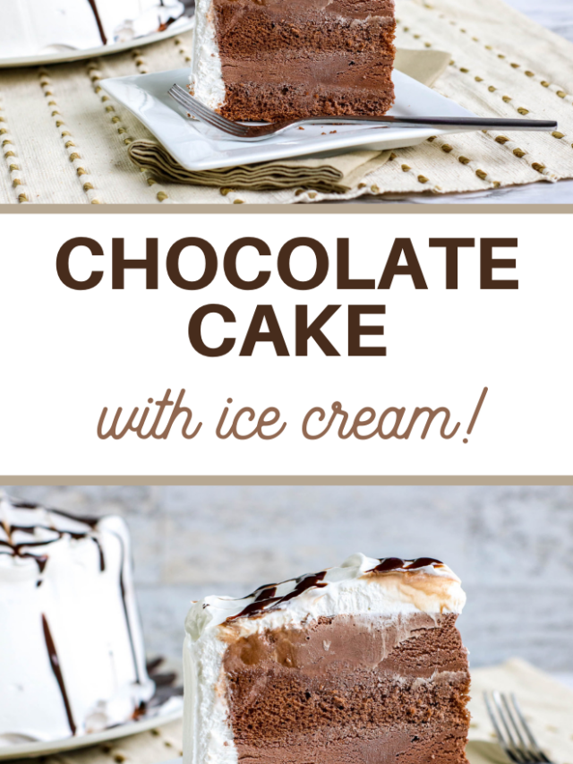 Simply Delicious Chocolate Ice Cream Cake Recipe Story