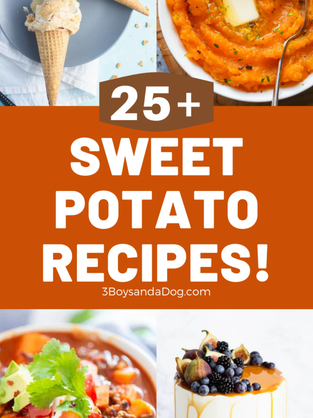 25+ Sweet Potato Recipes Story