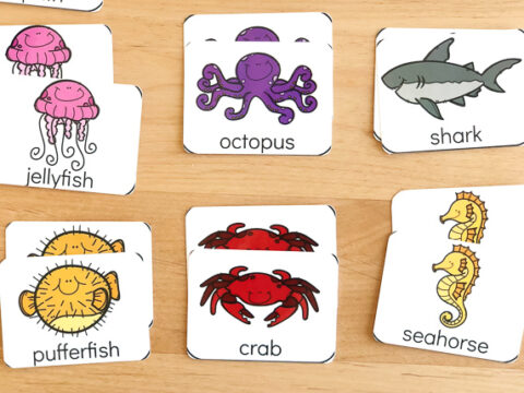 Image for Free Ocean Printable Matching Game For Preschoolers