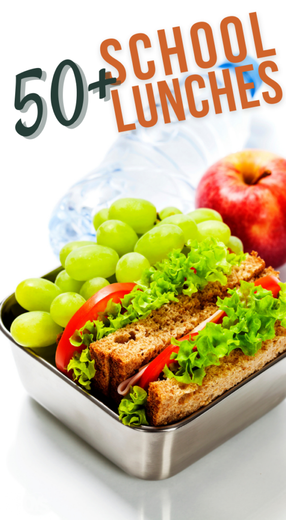 Over 50 Back to School Lunch Ideas {perfect lunchbox recipes}