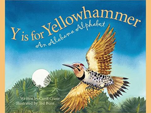 Image for Y is for Yellowhammer: An Alabama Alphabet (Discover America State by State)