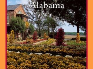 Image for Alabama (Rookie Read-About Geography)