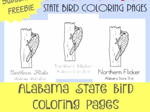 Image for Across the USA in 31 Days: Alabama