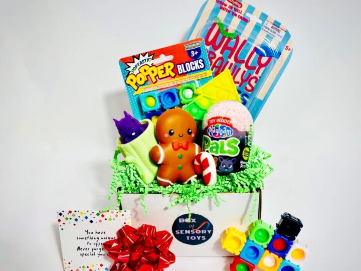 Image for Fidget Toys Subscription