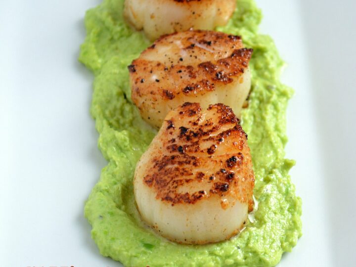 Image for Spicy Seared Scallops with Pea Puree