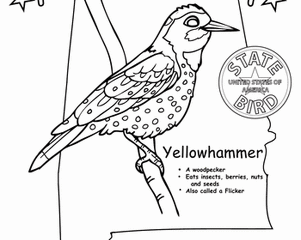 Image for Alabama State Bird | Worksheet | Education.com