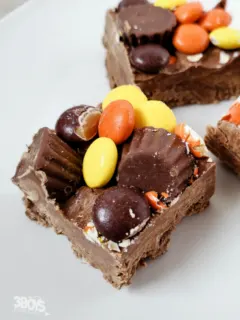 cropped-REESES-CUP-FUDGE-3.png
